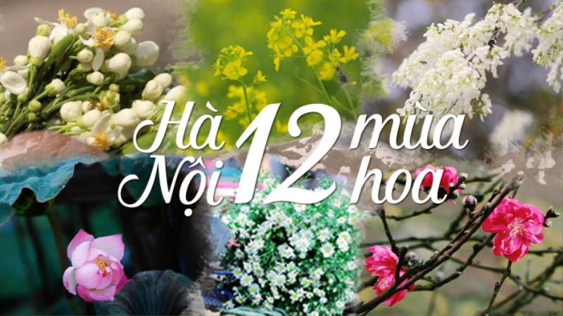 Đi qua 12 mùa hoa rực rỡ, bạn đã bao lần tìm thấy hạnh phúc?