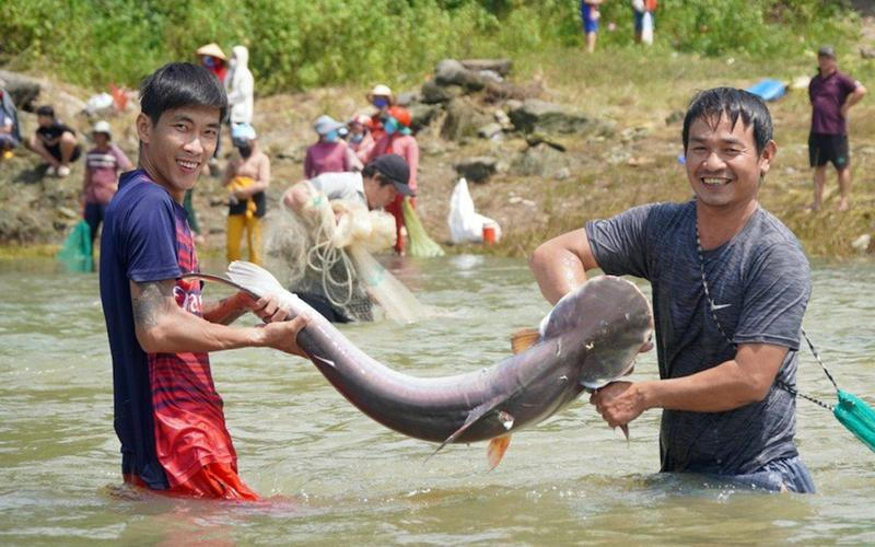 Người Dân Đổ Xô Vào Thủy Điện Trị An Bắt Cá 'Khủng'