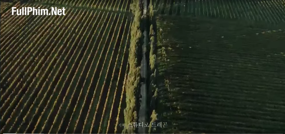 Chiêm ngưỡng những hình ảnh mãn nhãn nhất trong Vincenzo của Song Jong Ki Ảnh 7