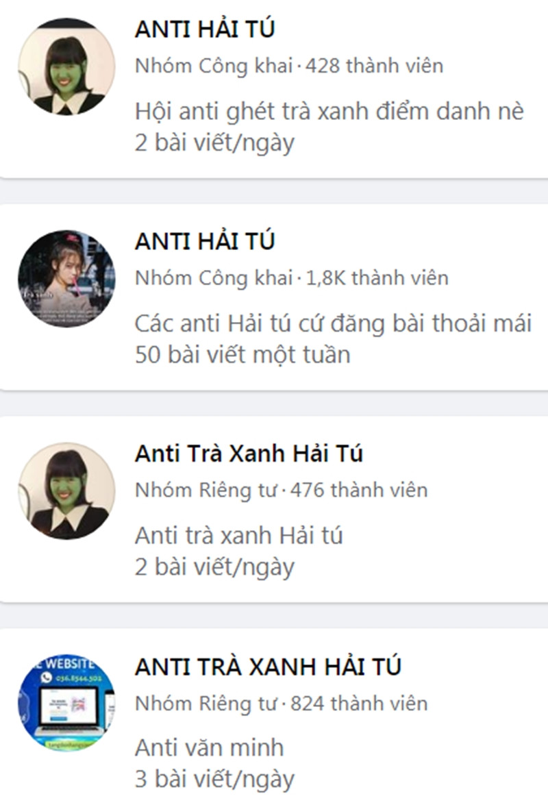 Hàng loạt Group anti-fan Hải Tú đổi tên, làn sóng công kích 'trà xanh' đang dần lụi tàn? Ảnh 9