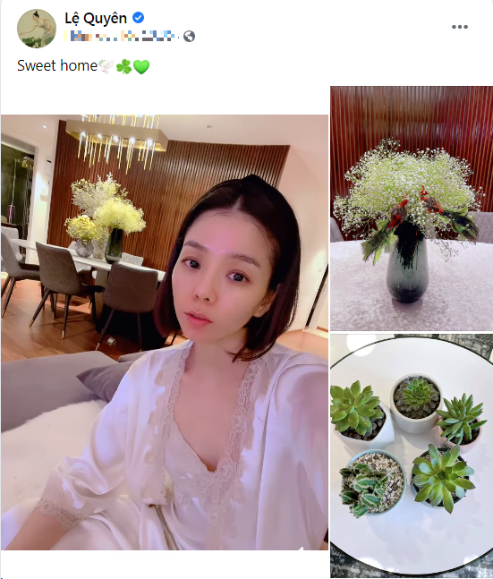 Lệ Quyên lộ bằng chứng sống chung nhà với tình trẻ kém 12 tuổi Ảnh 4