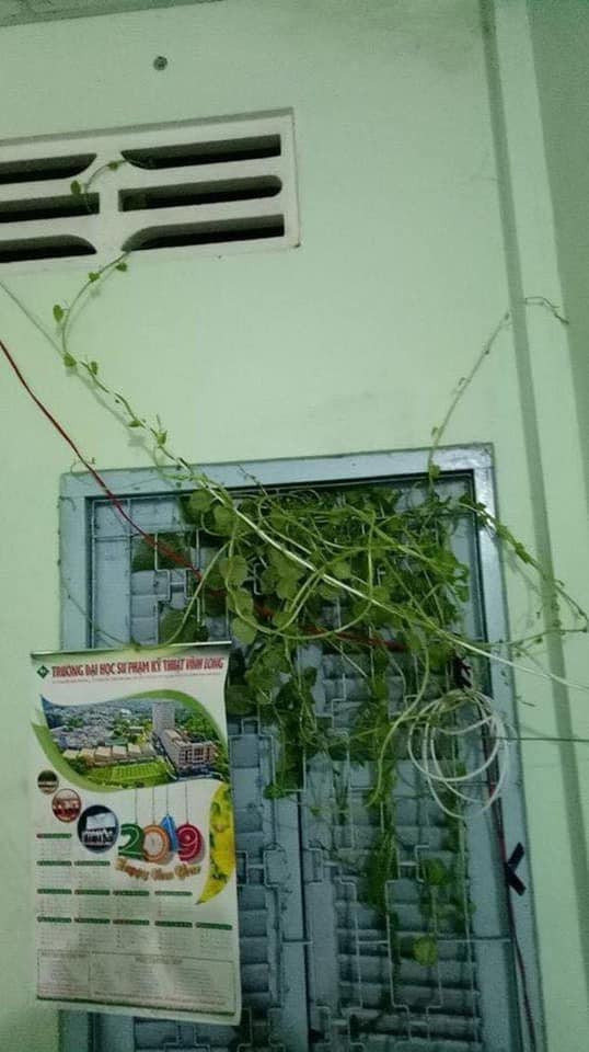 Sau kỳ nghỉ Tết dài hơi, sinh viên trở lại phòng trọ với nhiều điều bất ngờ đến... ám ảnh Ảnh 5