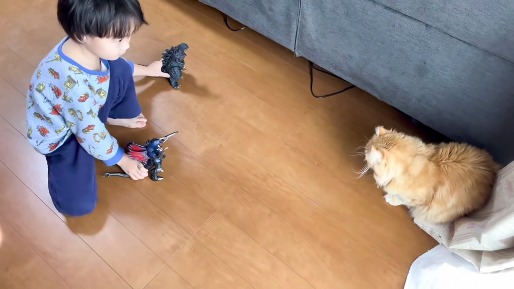 Quỳnh Trần JP bất ngờ thông báo gia đình vừa có thêm 'thành viên mới' khiến dân mạng ngỡ ngàng Ảnh 8