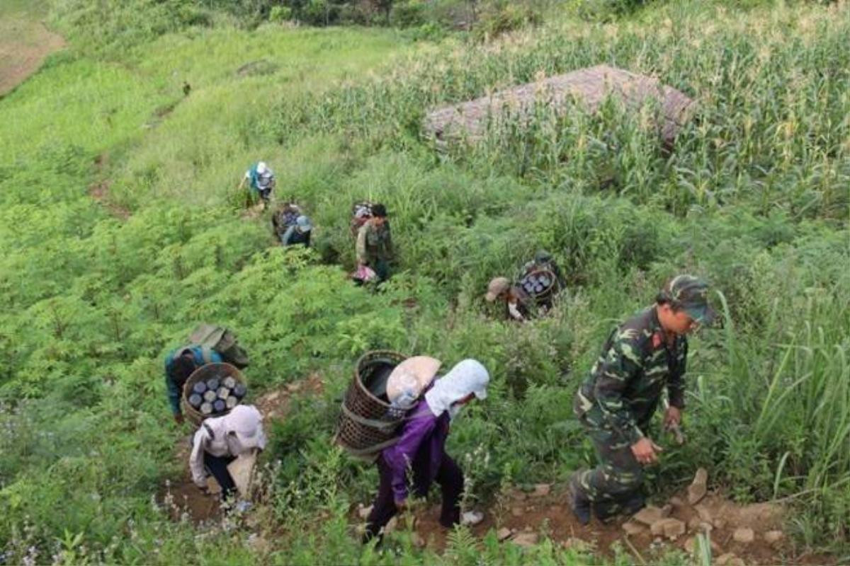 Sau bốn ngày liên tục dùng hơn 600 kg thuốc nổ, lực lượng công binh tỉnh Quảng Ngãi đã phá hủy 24 hầm vàng mà “vàng tặc” đã đào bới xới tung cả một quả đồi trên đỉnh Cà Nhút. Trong những ngày tới lực lượng công binh sẽ tiếp tục phá hủy các hầm vàng ở điểm khai thác vàng thuộc xã Trà Thanh. Để phá hủy các hầm vàng trên, lực lượng công binh đã phải hành quân liên tục hơn 1 giờ từ thôn Trà Ong (xã Trà Quân, huyện Tây Trà, Quảng Ngãi), vượt qua nhiều dốc núi dựng đứng để tới vị trí lực lượng khai thác vàng trái phép đang đào xới.