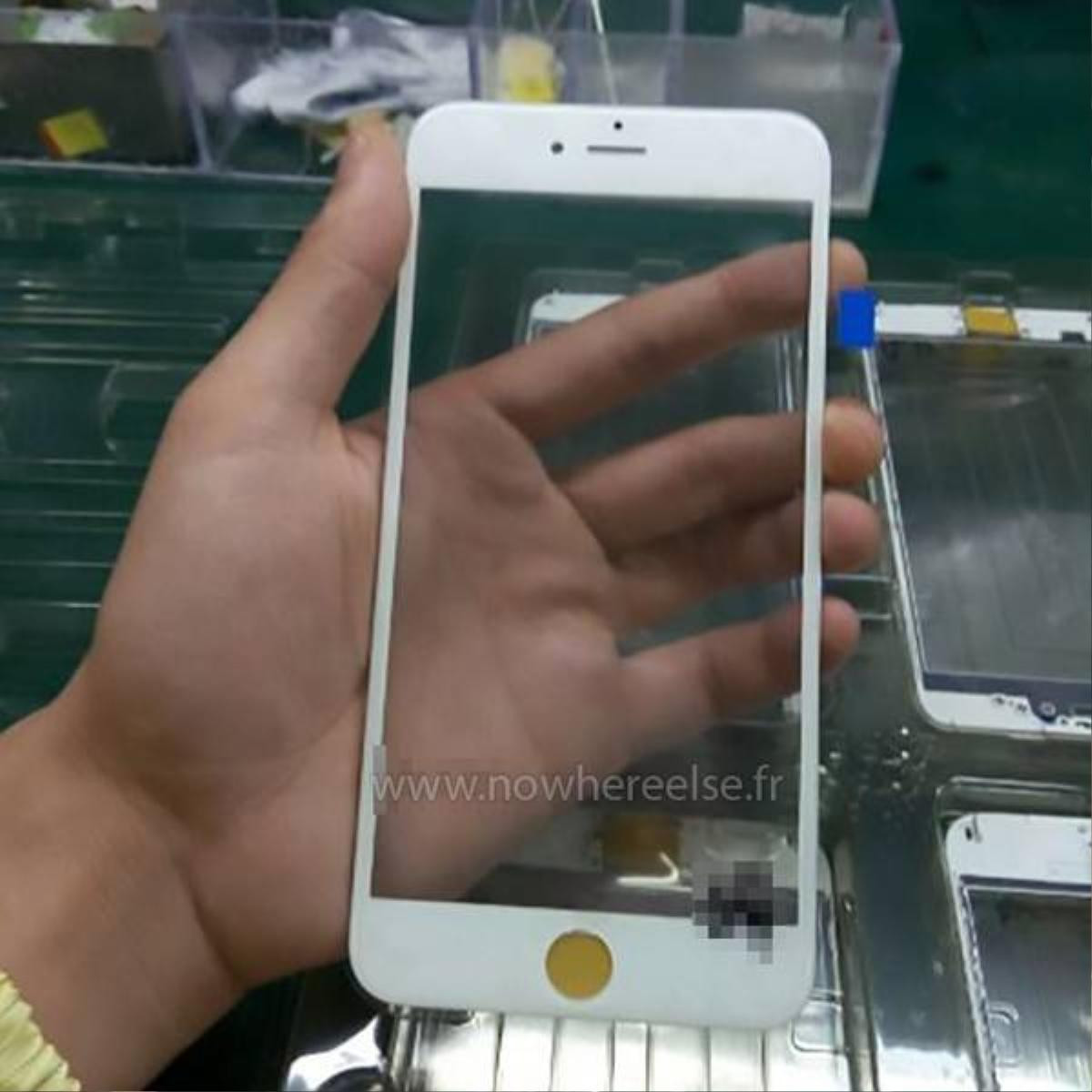 Lộ ảnh iPhone 6S được sản xuất hàng loạt