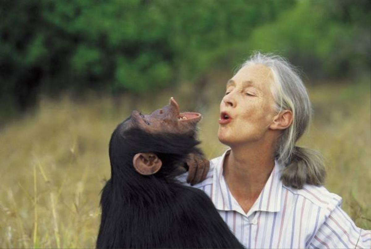 Dame Jane Morris Goodall là nhà linh trưởng học, tập tính học và nhân chủng học người Anh và là sứ giả hòa bình của Liên Hiệp Quốc. Bà được xem là chuyên gia hàng đầu thế giới về tinh tinh với 45 năm nghiên cứu về các mối quan hệ xã hội và gia đình của tinh tinh hoang dã trong vườn quốc gia Gombe Stream, Tanzania.