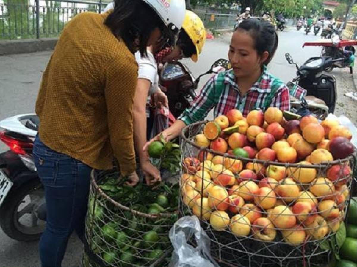 Song, tại thị trường, các loại cam đều được biến thành cam Hưng Yên, Hà Giang để lừa người tiêu dùng. 