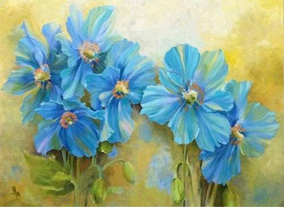 Ha - Blue Poppy - 60x80 - Thanh xu ly