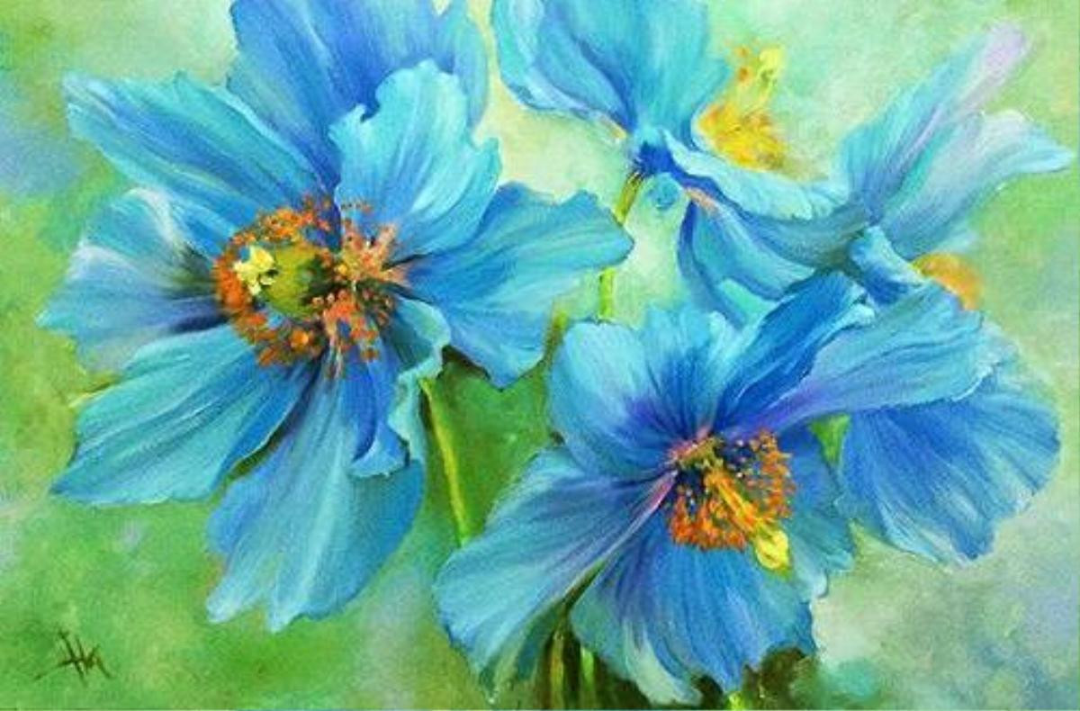 Ha - Blue Poppy 7 - Thanh xu ly