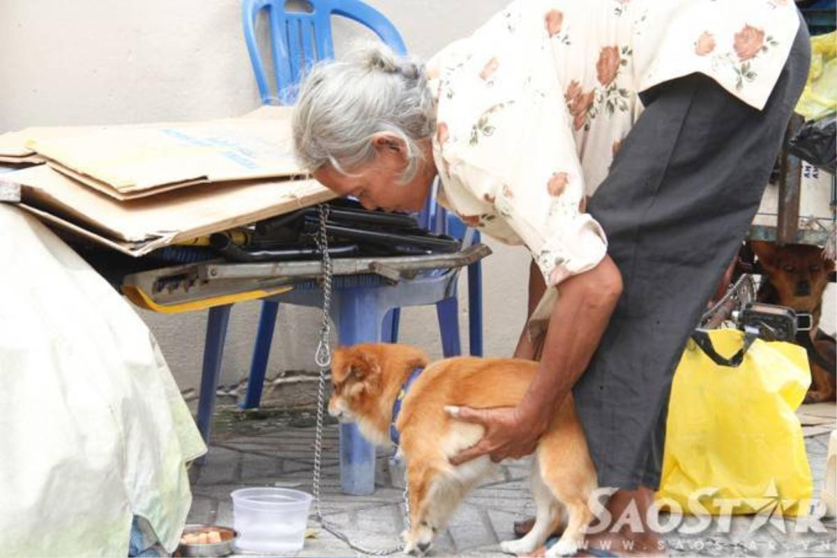 7.	Lưng đã còng, mắt đã mờ nhưng bà vẫn cần mẫn đi nhặt ve chai để trang trải cuộc sống, phần lớn số tiền bán ve chai bà gửi vào cho các cháu nhỏ ở trung tâm và mua thức ăn cho 2 chú chó còn bà xin cơm từ thiện ăn qua ngày.