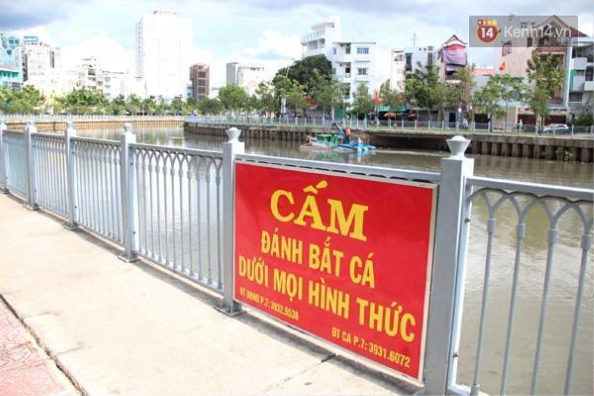 Dọn rác vẫn dọn, cấm vẫn cấm nhưng kênh Nhiêu Lộc và lượng cá ở đây đang ngày ngày rên xiết vì ô nhiễm.