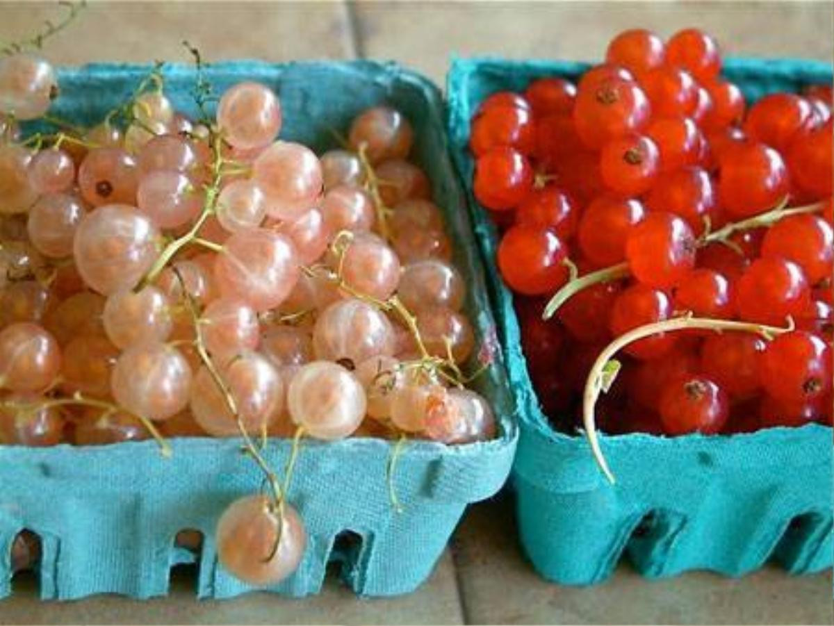 Về đến Việt Nam, nho currant có giá lên đến 2 triệu đồng/kg