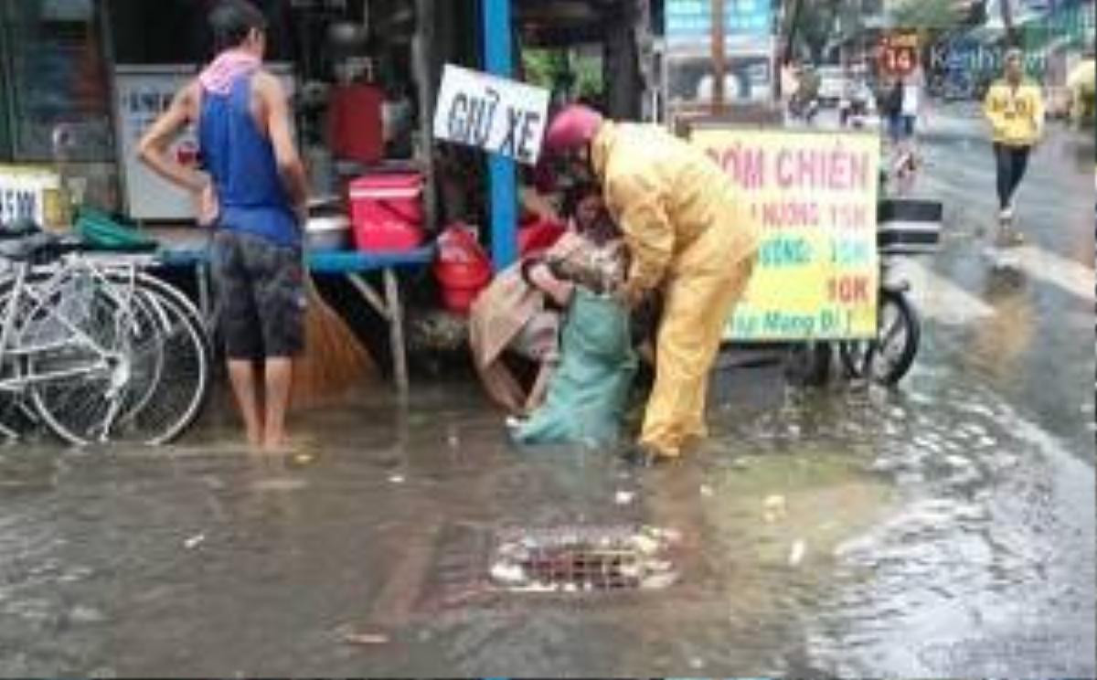 Ông Tỷ không ngại bẩn, không ngại mưa, cứ thấy rác là đến nhặt, việc làm của ông khiến những người dân quanh đây cũng đã ý thức hơn về việc giữ vệ sinh chung.