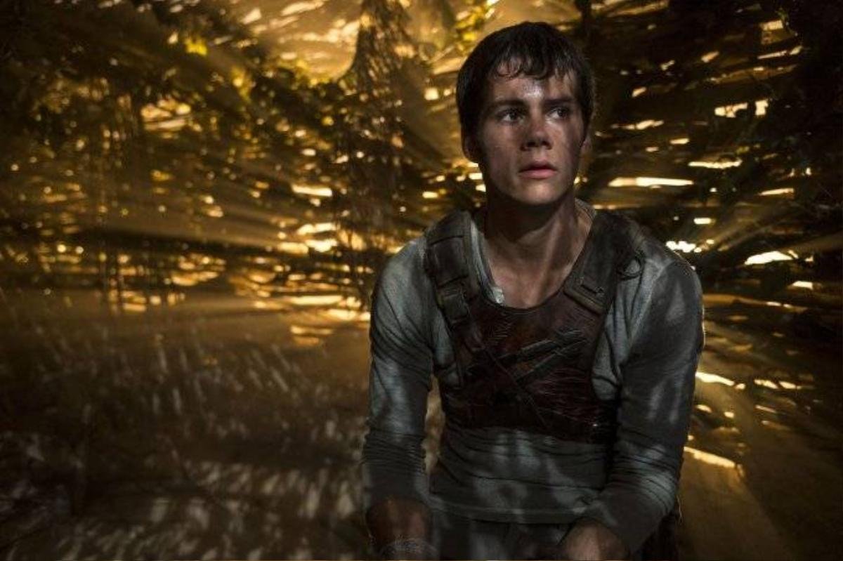 This photo released by Twentieth Century Fox shows Dylan O'Brien as Thomas in the film, "The Maze Runner." The movie releases in the U.S. on Sept. 19, 2014. (AP Photo/Twentieth Century Fox, Ben Rothstein)