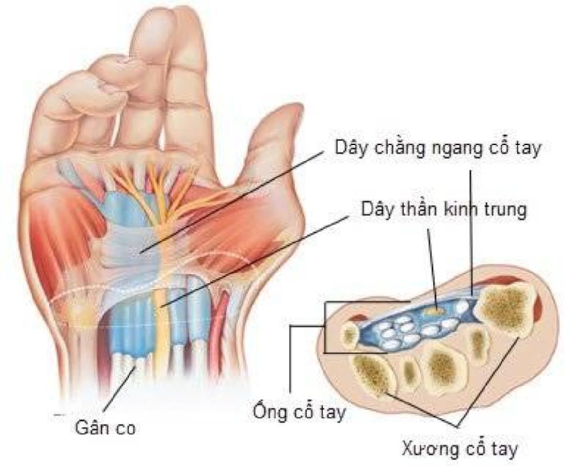 Hoi chung ong co tay