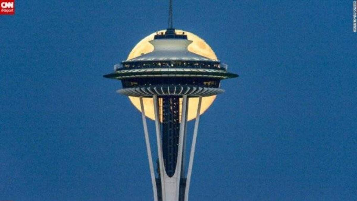 Nhiếp ảnh gia Tim Durkan đã chụp bức hình tuyệt hảo này tại Seattle in 2014