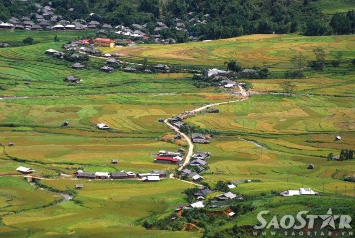 Mu cang chai -1