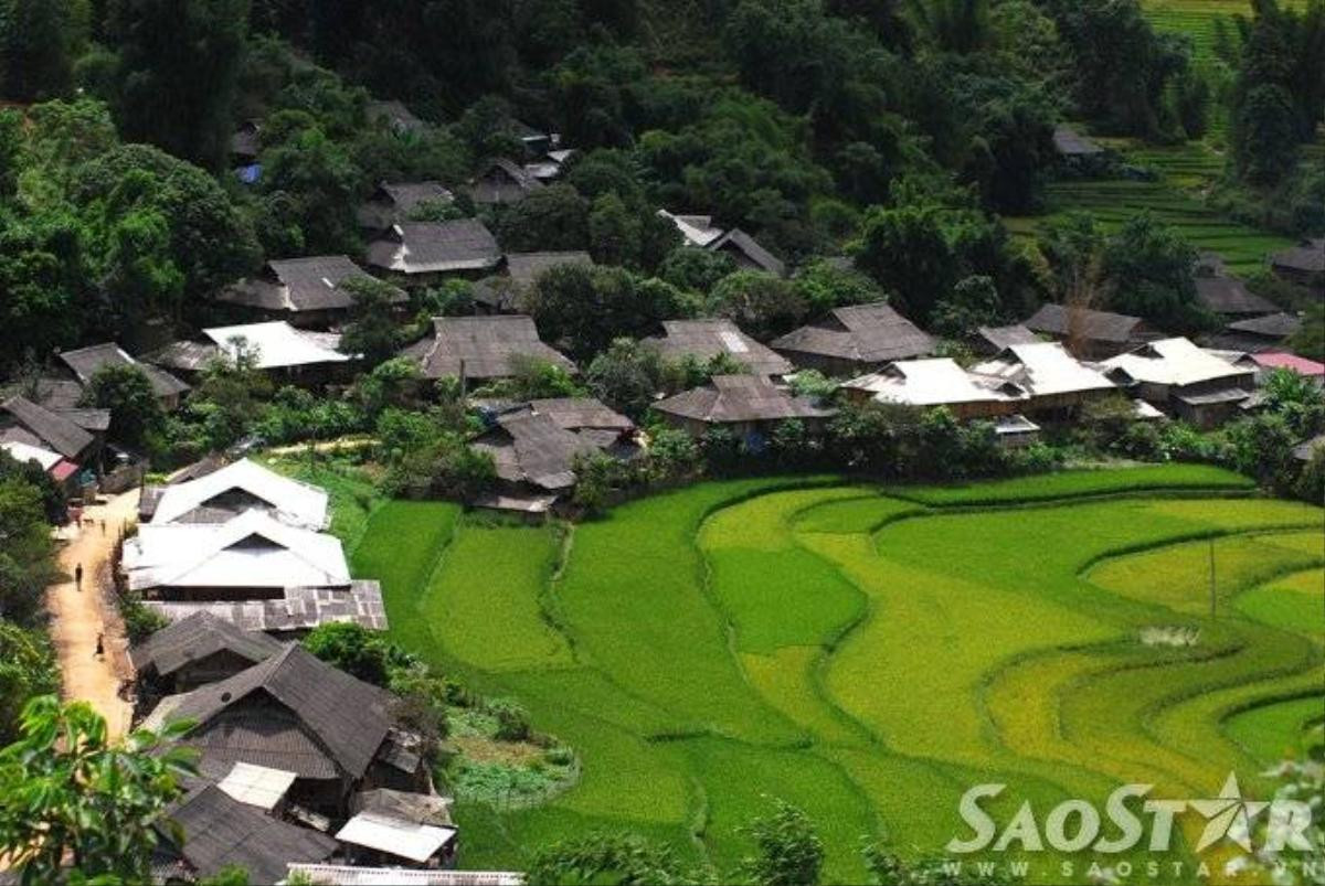 Mu cang chai -2