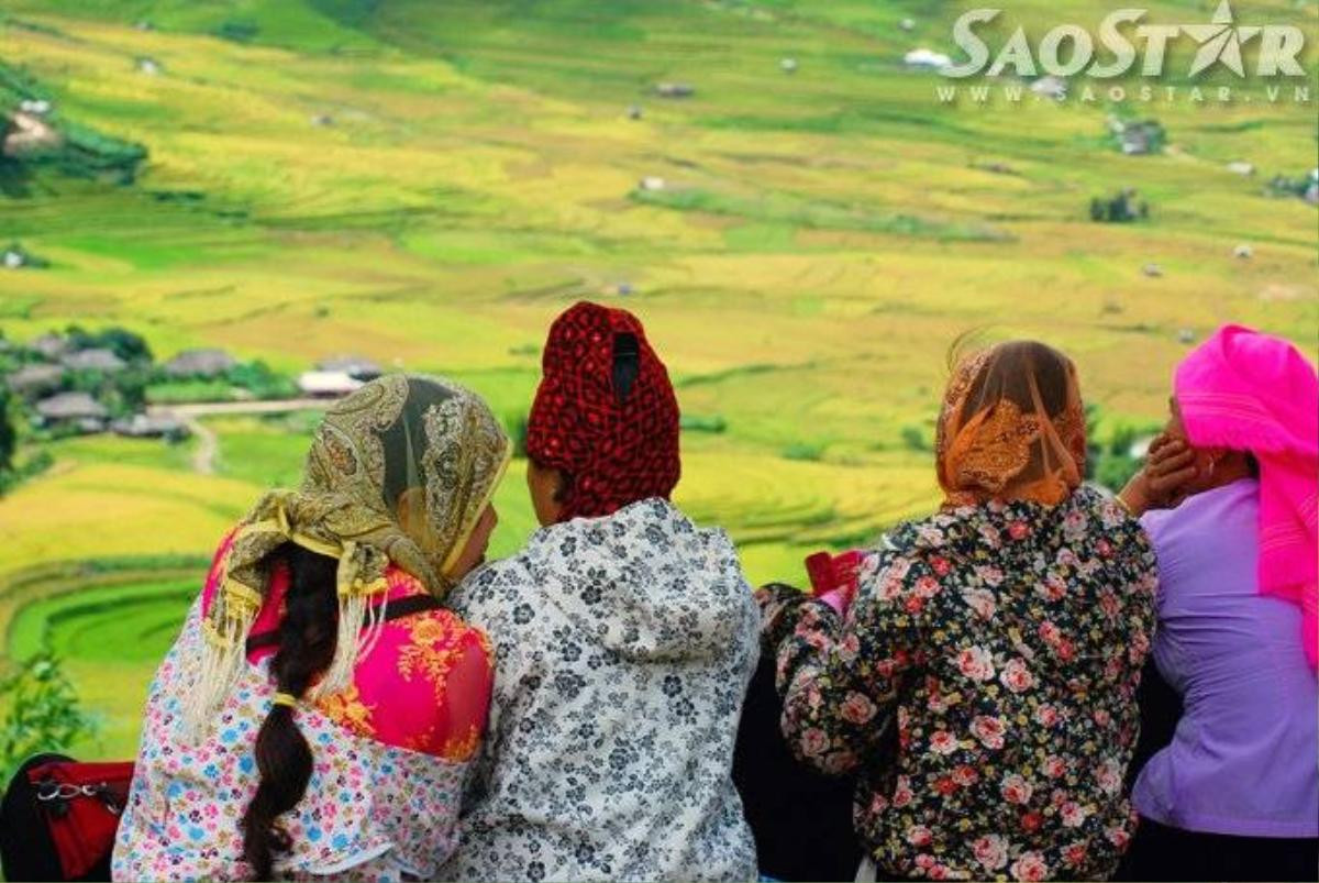 Mu cang chai -5