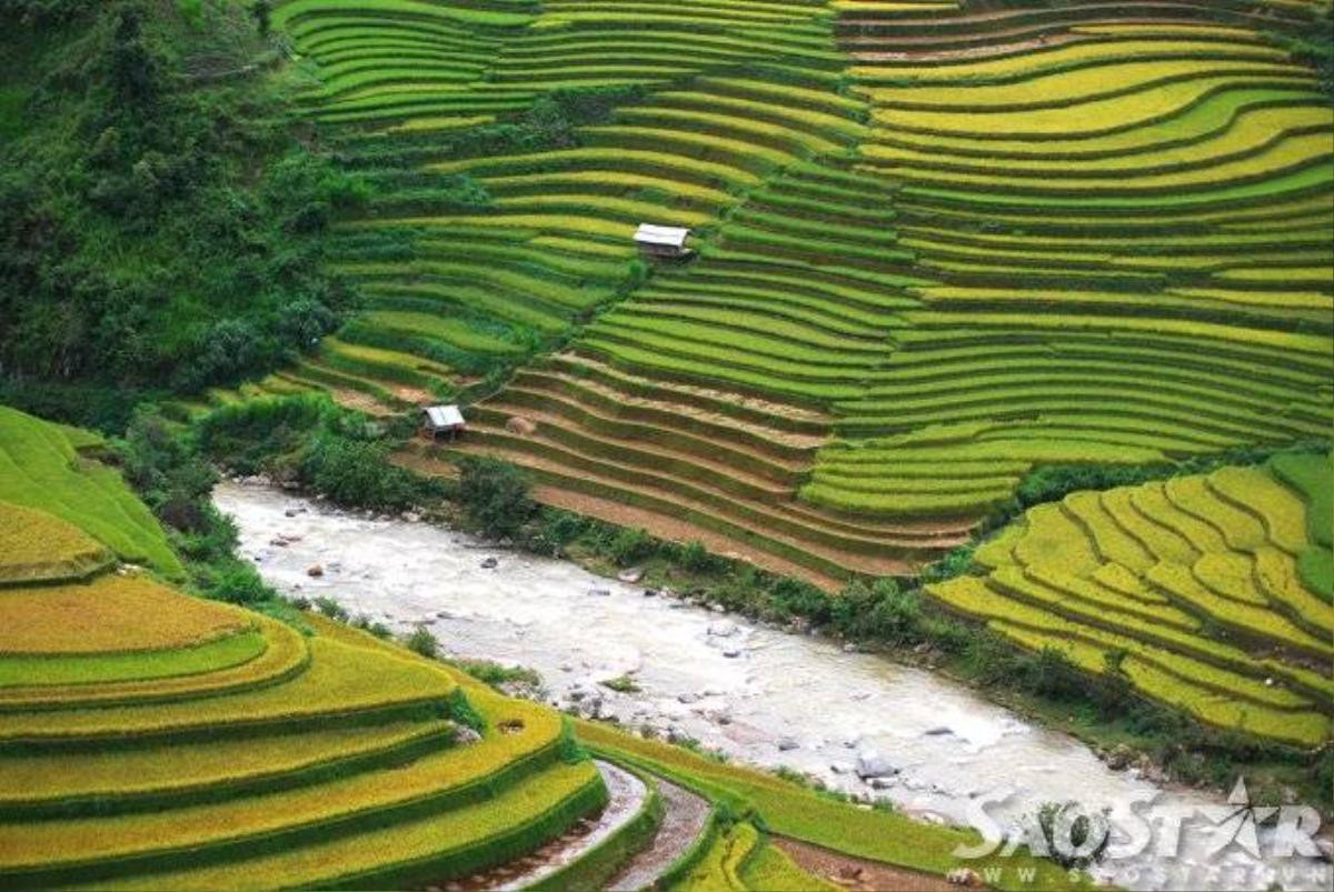 Mu cang chai -6