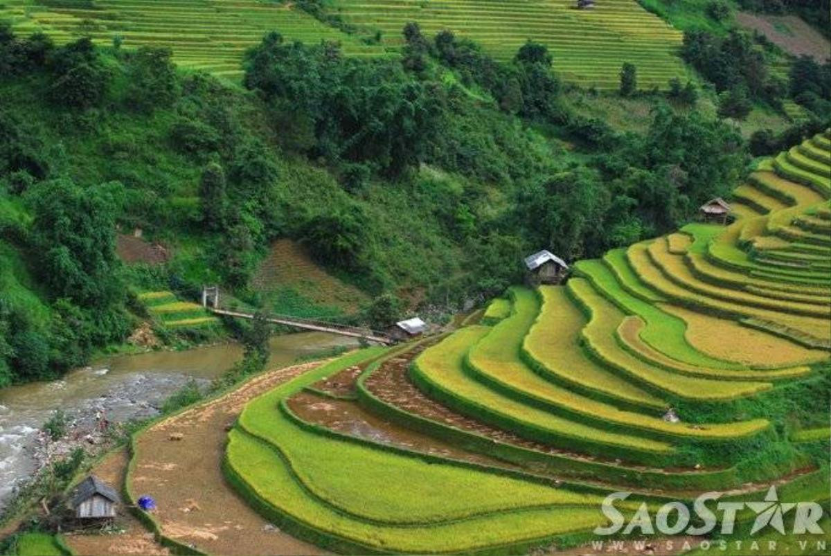 Mu cang chai -7