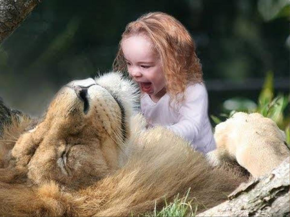 lion-rescues-girl