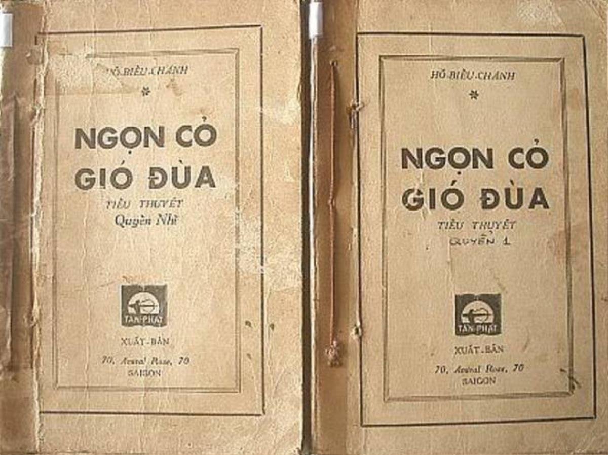 1-ngon-co-gio-dua