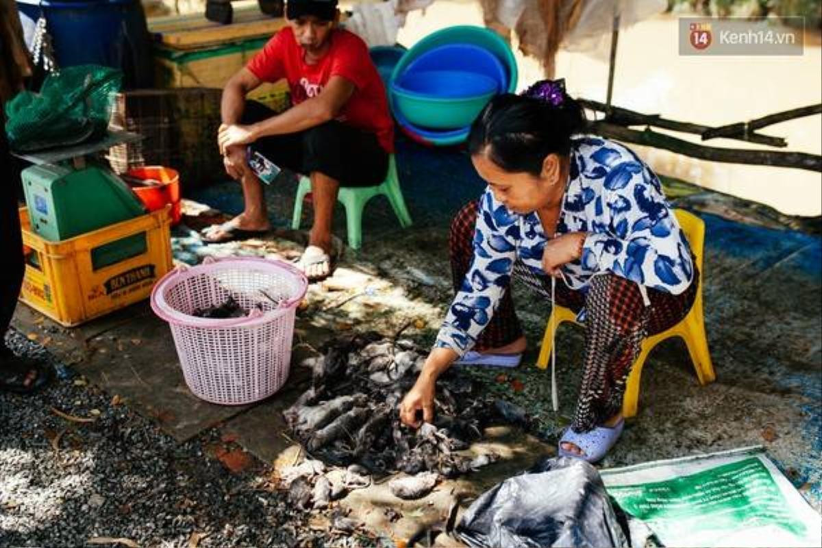 Lựa những con chuột không còn sống để bán với giá rẻ hoặc làm thịt tại chỗ.