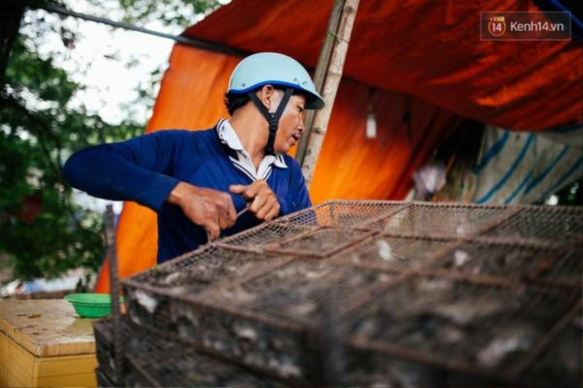 Anh Hải có hơn 20 năm trong nghề săn bắt chuột, nay đã chuyển sang mua chuột.