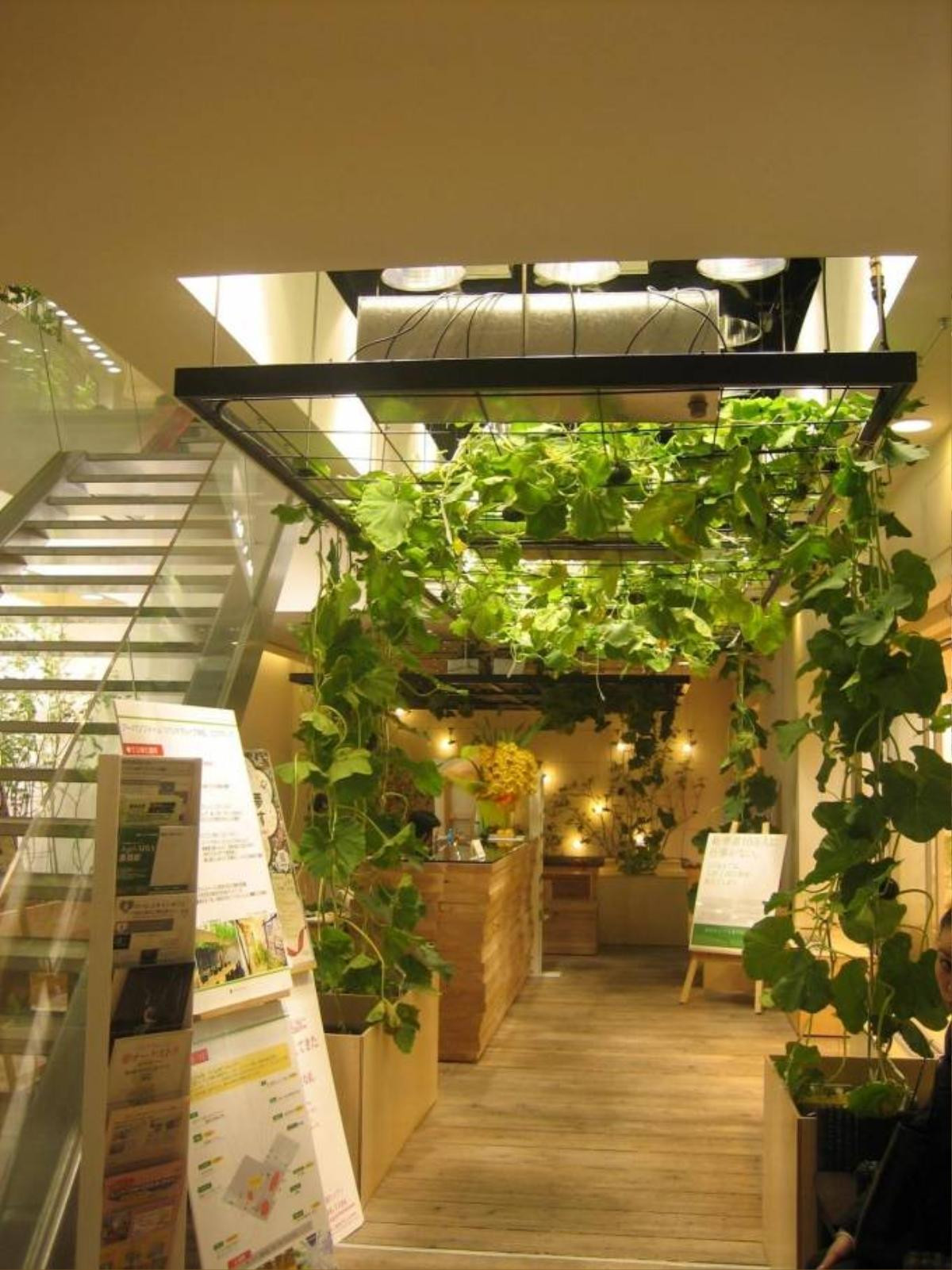 pasonaurbanfarmtokyo (14)