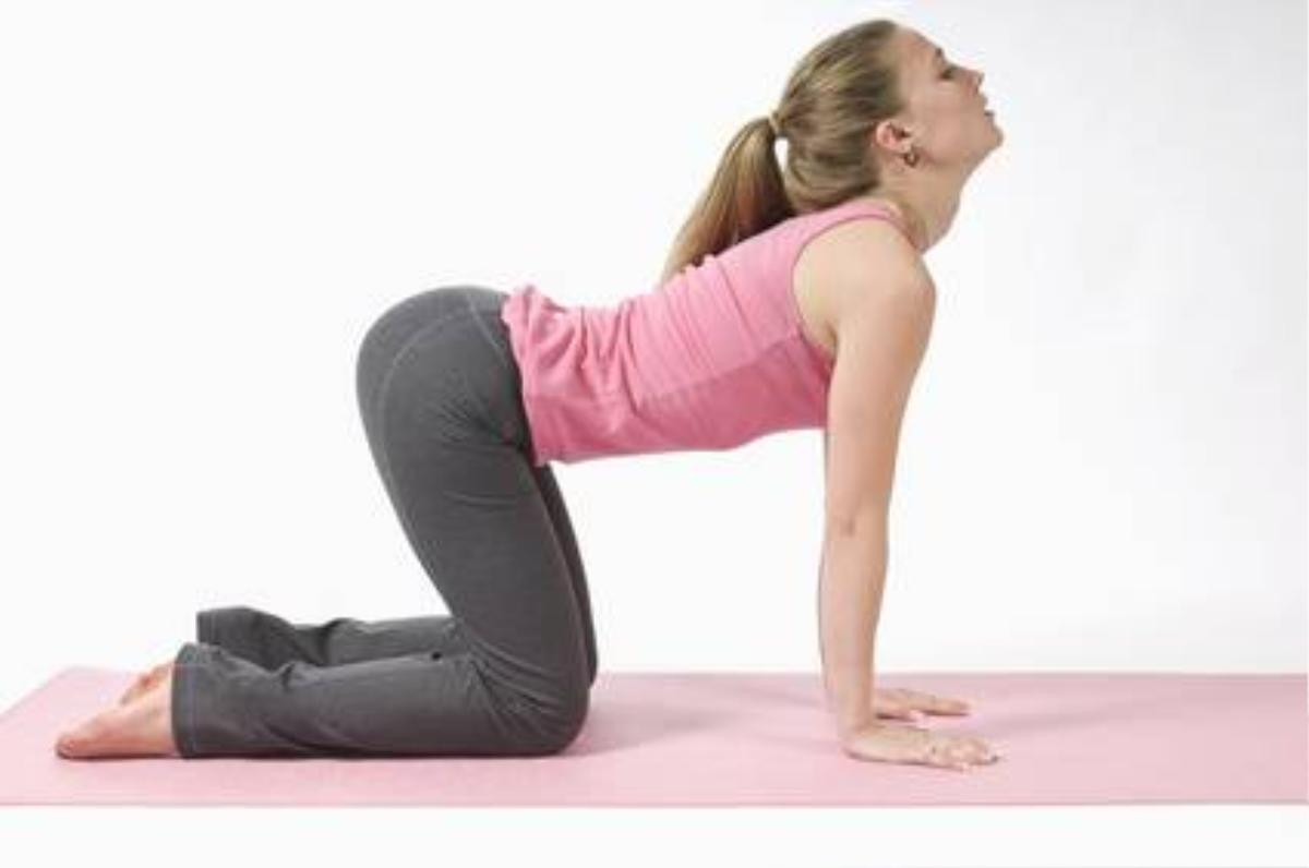 Woman In Yoga Cow Pose