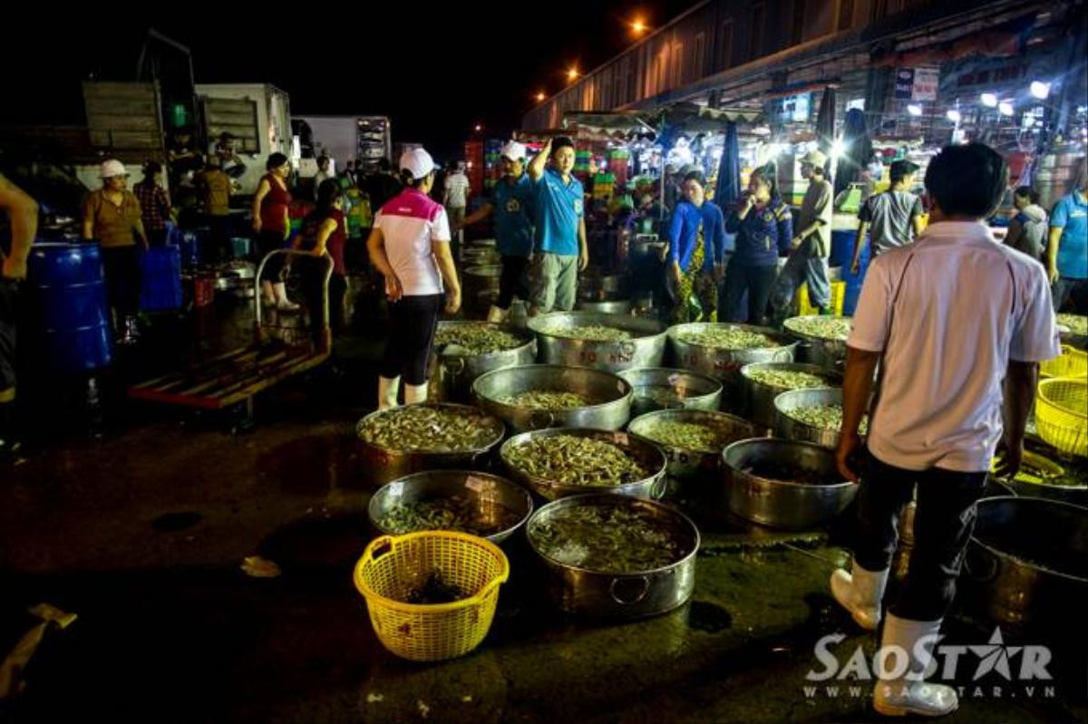 Khu đầu mối thủy hải sản được chia làm 2 phân khu gồm khu E là chợ cá biển và khu D chợ cá đồng, các loại hải sản khác.