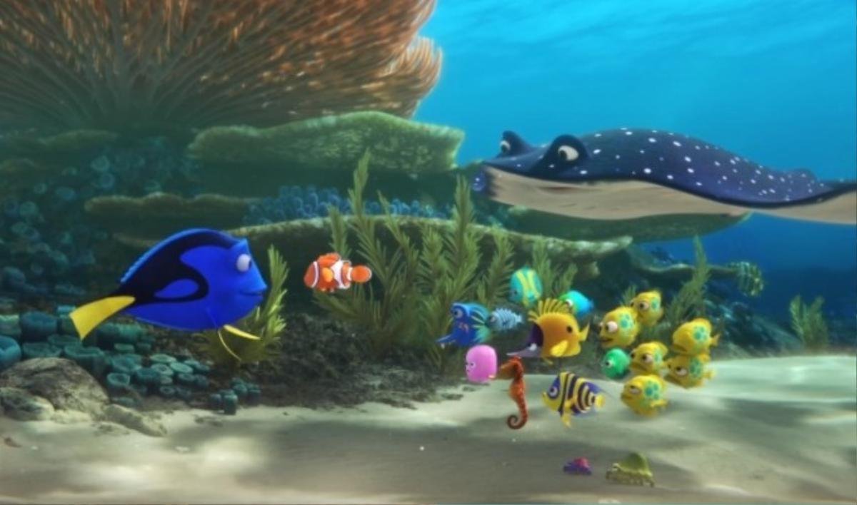 dory2