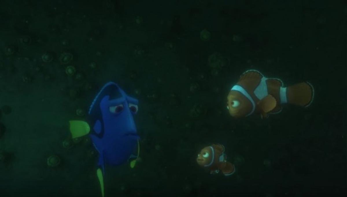 dory5