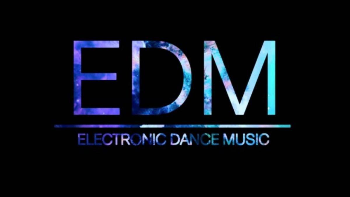 EDM gồm nhiều nhánh nhỏ như house, trance, electro, techno, dubstep, moonbathon, trip hop...