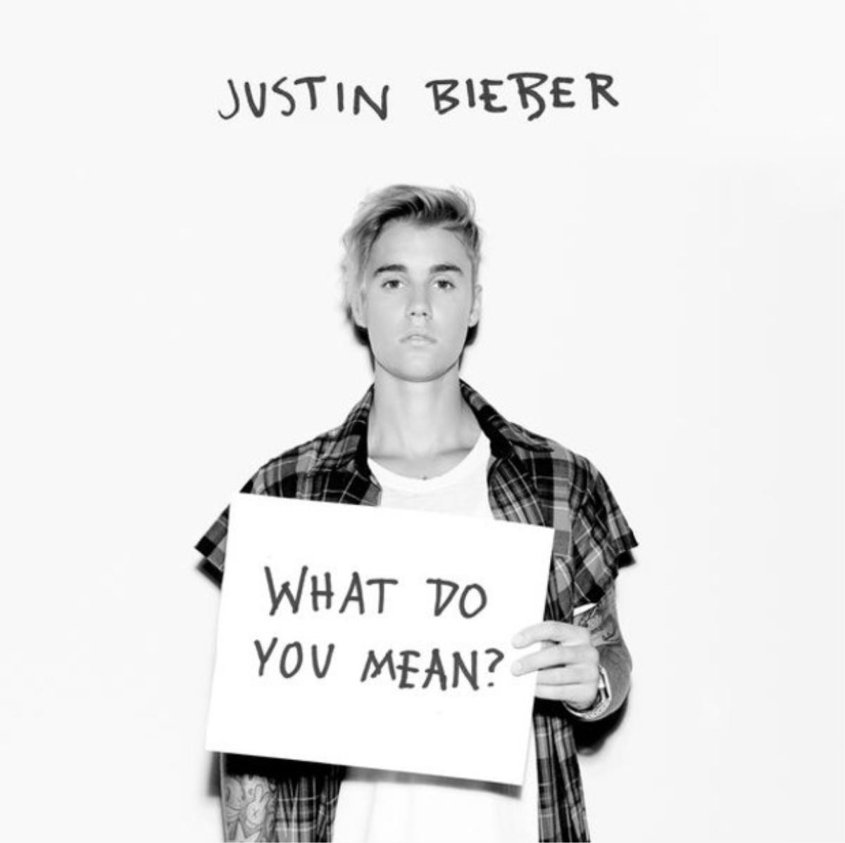 justin-bieber-what-do-you-mean-cover-2