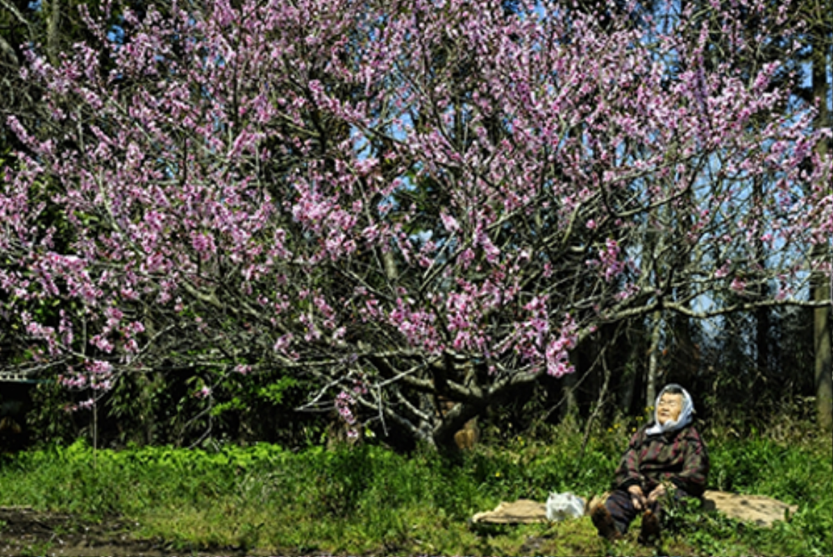 bamisaomeofukumaru (1)