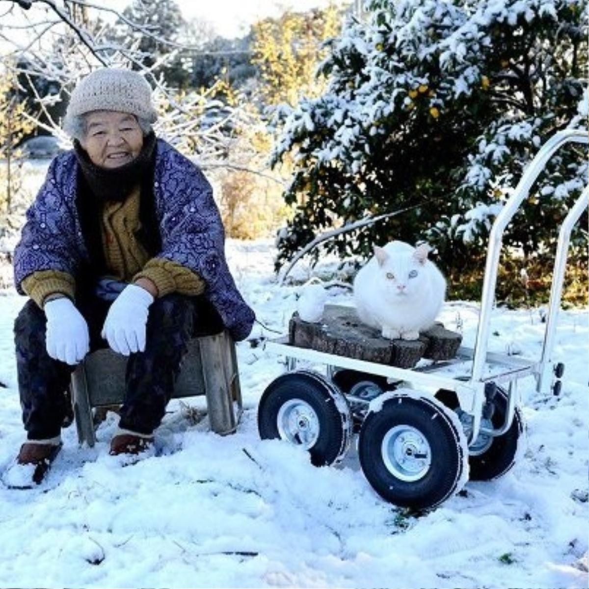 bamisaomeofukumaru (7)