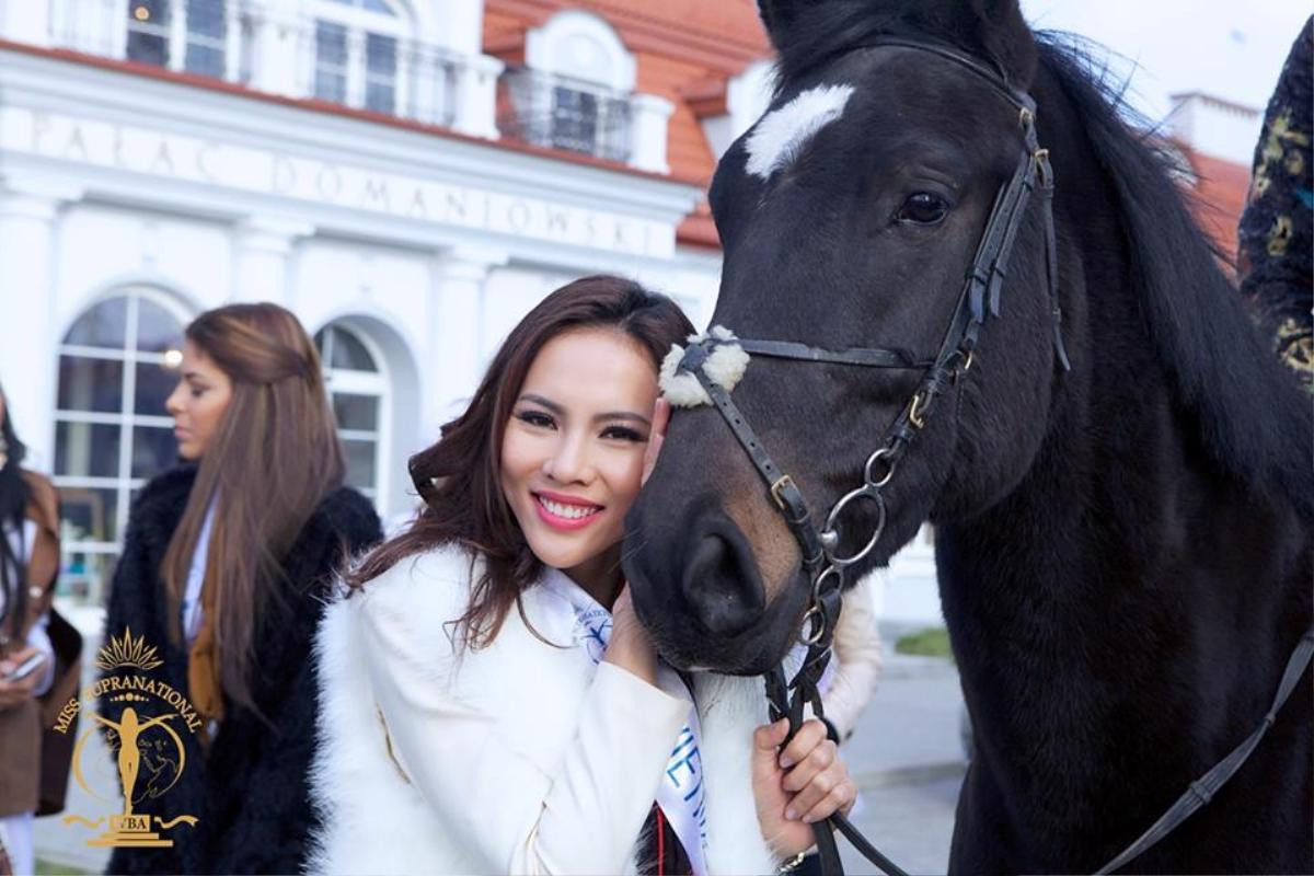 Le Quyen - Miss Supranational Vietnam 2015 (21)