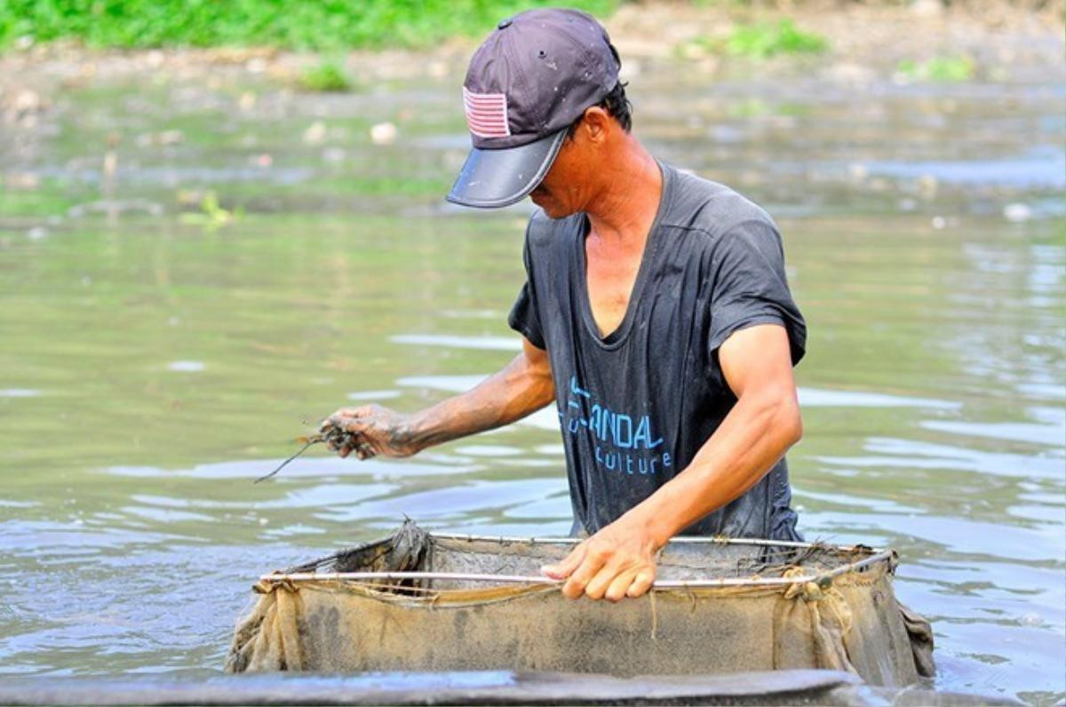 "Ngày nào may mắn, gặp điểm có nhiều trùn thì được khoảng 20 lon, bán được gần 200.000 đồng. Có những hôm đãi từ mờ sáng đến trưa nhưng thu nhập chưa đến 100.000 đồng", một ngư dân cho biết. 