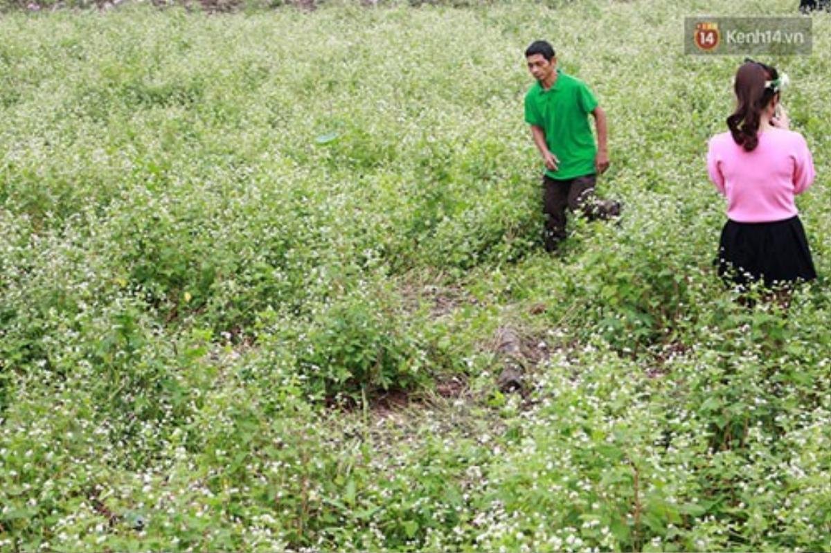 Khiến nơi đây sau hơn 2 ngày mở cửa miễn phí vé vào đã trở nên tan hoang, tiêu điều.