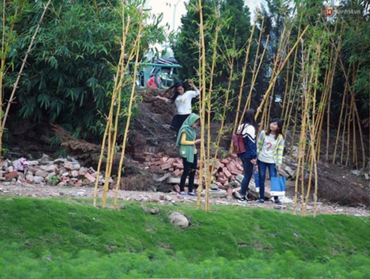 Không thể kiểm soát được tình hình, 16h chiều 29/11 chủ vườn đã tạm đóng cửa để có thể khắc phục lại những gì còn sót lại tại đây nhưng nhiều bạn trẻ vẫn tìm cách trèo rào để có thể vào vườn.