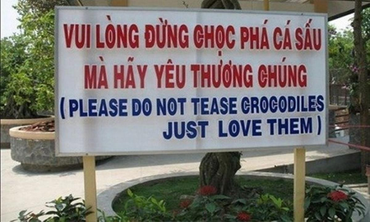 Hãy yêu thương cá sấu!