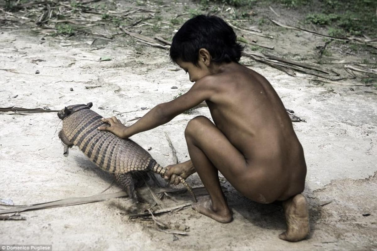 Gia đình đóng vai trò vô cùng quan trọng đối với bộ tộc Awa, các thành viên còn bao gồm các loài động vật hoang dã được nuôi như thú cưng trong nhà.