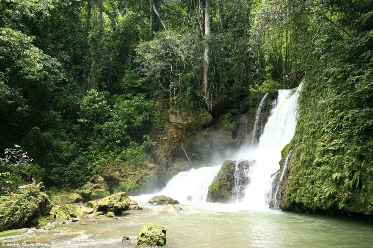 diemdennam2016cuasaoAnhQuoctaiJamaica-2