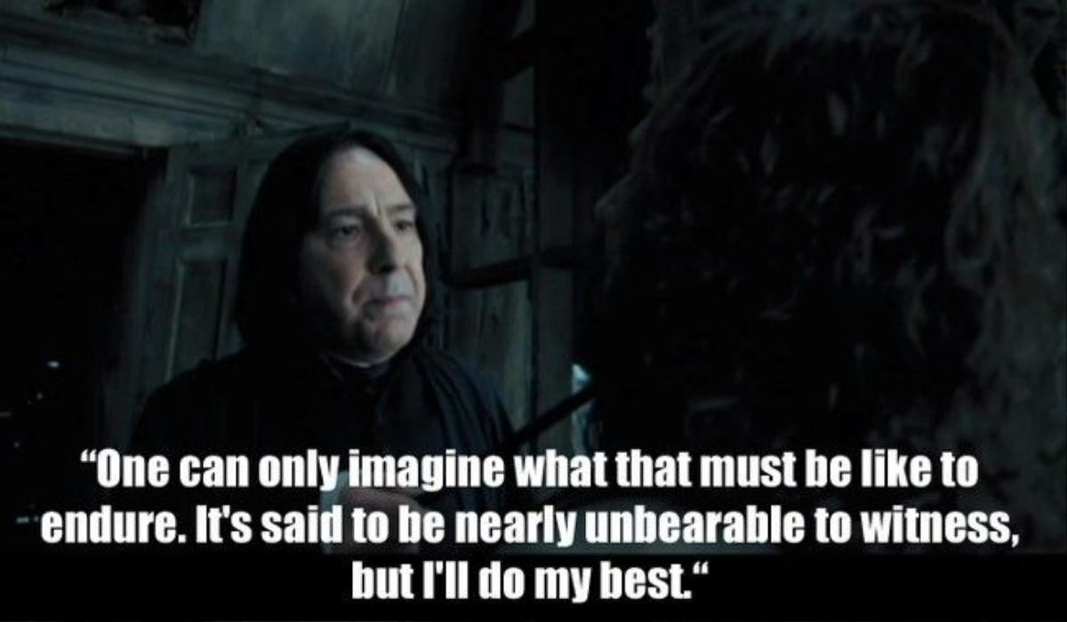 snape13