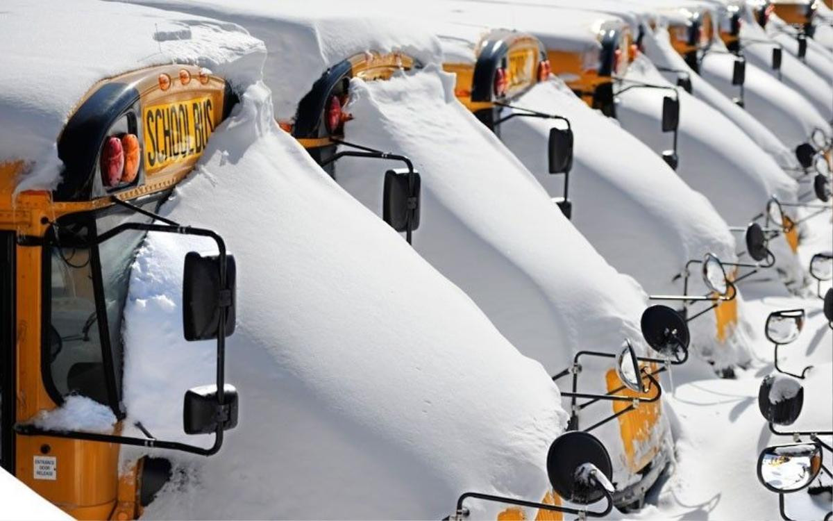 20 school buses in hảtford