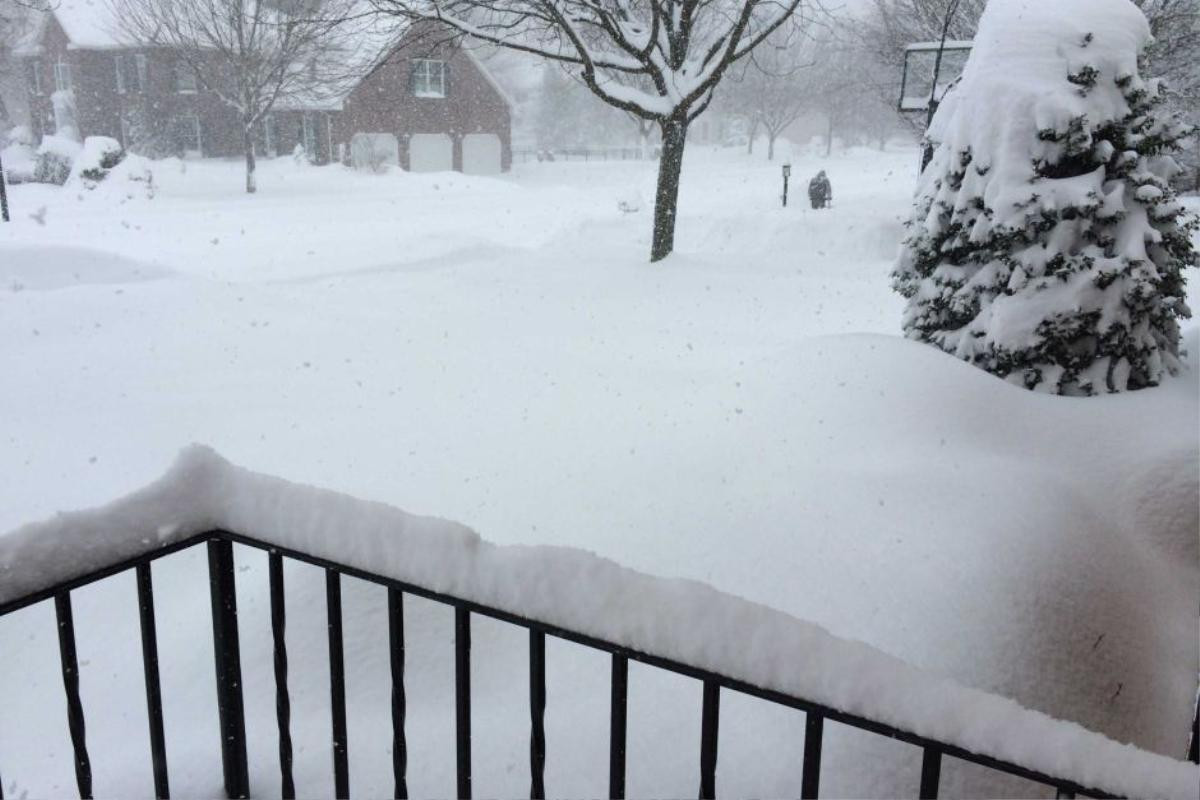 9 jonas snow blankets the ground in pennsylvania