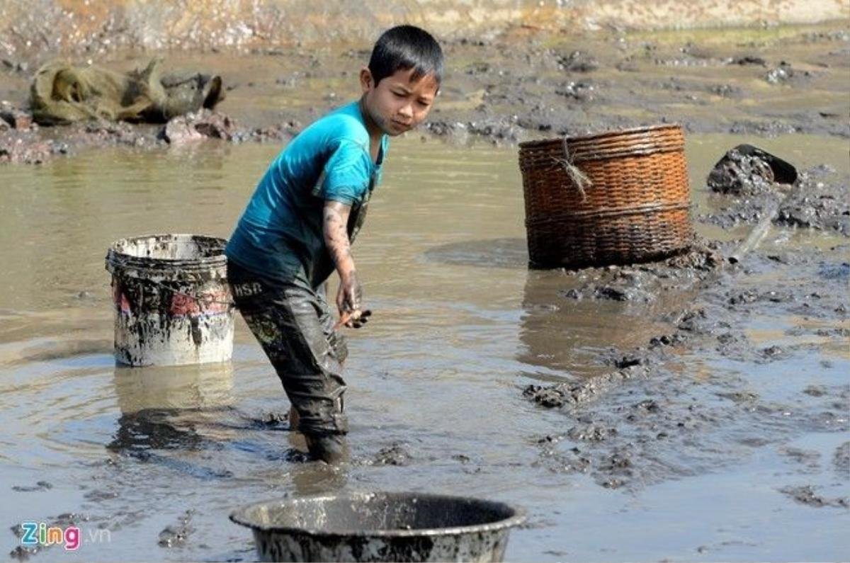 Trẻ em cũng lội bùn phụ cha mẹ. Các hộ dân đánh bắt trước lễ ông Táo khoảng 10 ngày để đưa cá lên bể và cho chúng quen dần với môi trường mới. Nhiều hộ sau khi tát ao của mình xong đi thu mua lại cá từ cả các nhà khác.