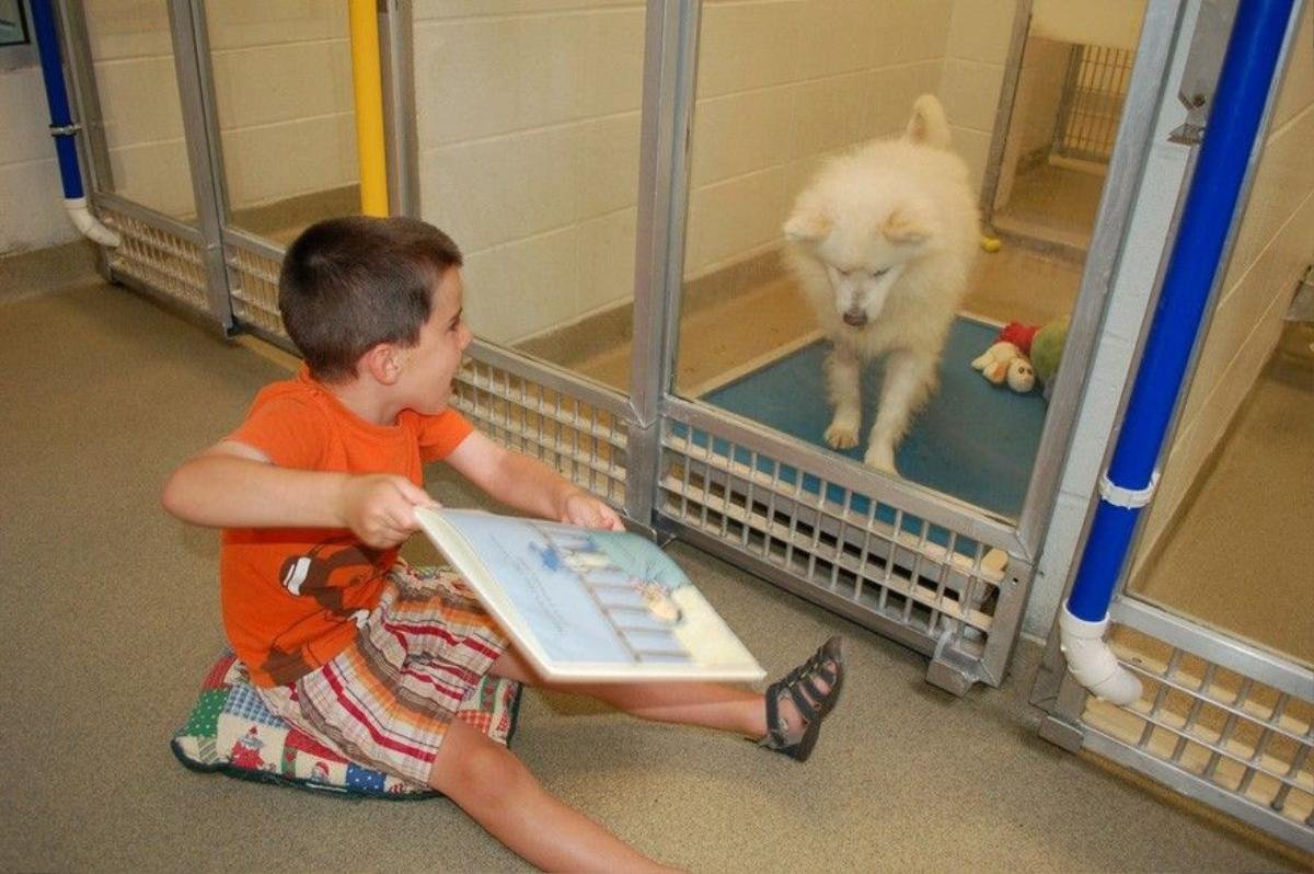 kids-read-shelter-dogs-human-society-of-missouri-8